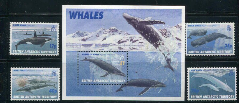 British Antarctic Territory #244 - 248  1996  WHALES Set & Souvenir Sheet MNH