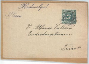 69849 - AUSTRIA - POSTAL HISTORY - STATIONERY Private NEWSPAPER LABEL to TRIESTE