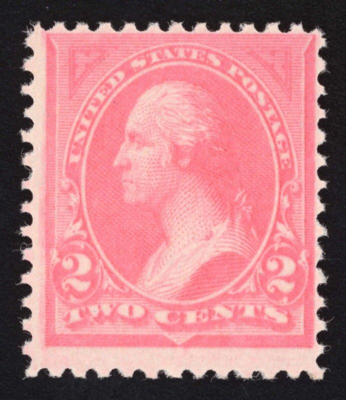 US Scott 248 Mint NH OG 2c pink 1894 ot GOR330 bhmstamps