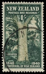 New Zealand #241 Giant Kauri; Used