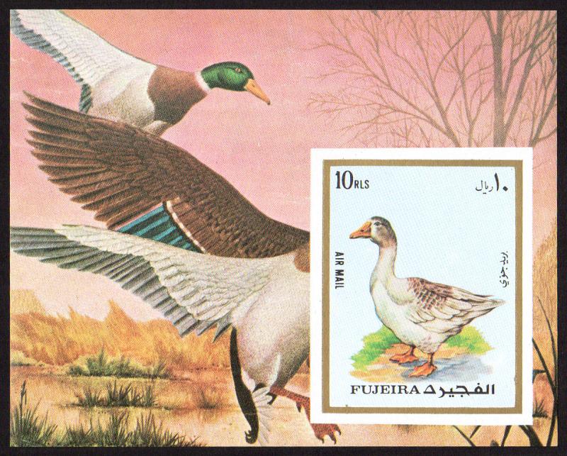 Fujeira Mi Block 131B (#1305) mnh - 1972 goose - bird - imperf souvenir sheet