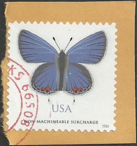 # 5136 Used Eastern-Tailed Blue Butterfly