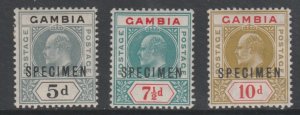 GAMBIA 1904 KE7 KEY PLATE  SPECIMEN  set of 3