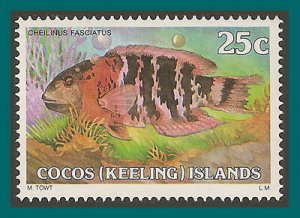 Cocos 1980 Wrasse, MNH 41,SG40