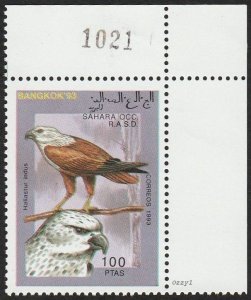 Sahara Occ RASD 1993 100ptas Haliastur indus MNH.