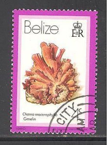 Belize 474 used - cto (DT)