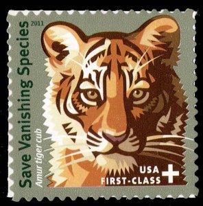 United States Scott B4 Mint never hinged.