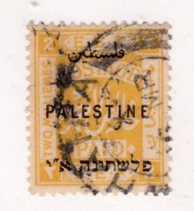 Palestine              49            used