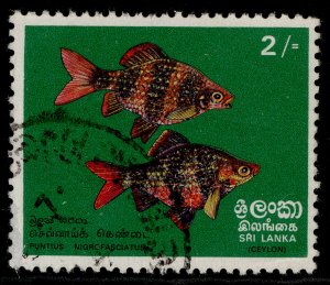 SRI LANKA QEII SG597, 2r black ruby barb, FINE USED.