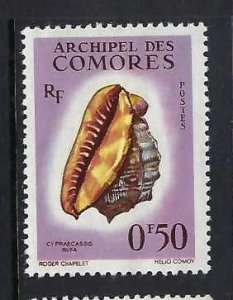 COMORES 48 MOG SEA SHELL A1066-2