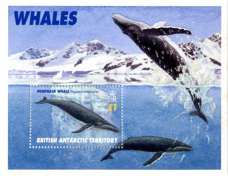 BRITISH ANTARTIC TERR 248 S/S MNH SCV $11.00 BIN $6.00