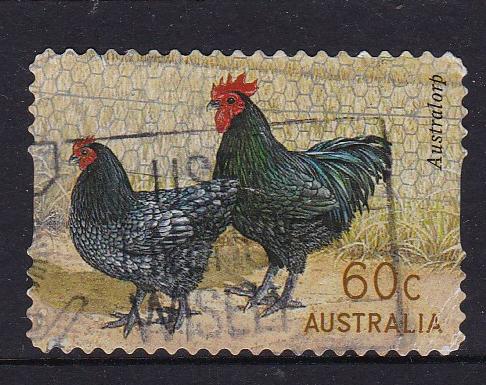 Australia  2013 Australian Poultry Breeds - 60c  - Used