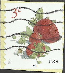 P.N.C. P1111 # 5201 Used Strawberries
