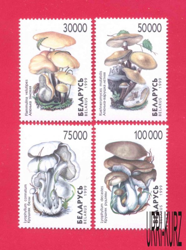 BELARUS 1999 Nature Flora Mushrooms Fungi 4v Sc316a-319a Mi330-333 MNH