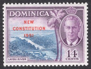 DOMINICA SCOTT 140