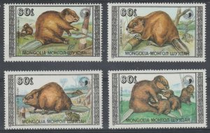 1989 Mongolia 2021-2024 Fauna