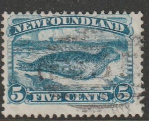 Newfoundland #53 Used w/ clean back         (~2164)