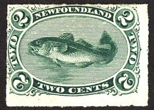 Newfoundland #38 MINT No GUm