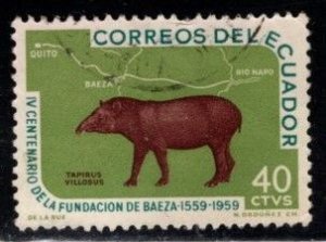 Ecuador -  #658 Tapir - Used