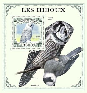 Togo - 2021 Snowy Owl - Stamp Souvenir Sheet - TG210114b