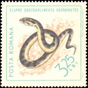 Romania #1719-1728, Complete Set(10), 1965, Turtles, Snakes, Never Hinged