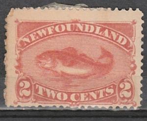 #48 Newfoundland Mint on paper