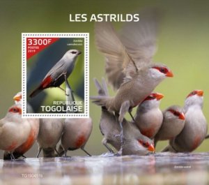 Togo - 2019 Waxbill Birds on Stamps - Stamp Souvenir Sheet - TG190451b
