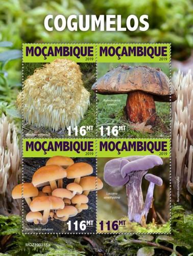MOZAMBIQUE - 2019 - Mushrooms - Perf 4v Sheet - MNH