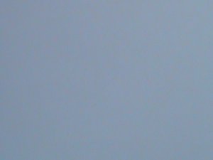 ​FERR ISLAND STAMP-2010 COLORFUL BEAUTIFUL LOVELY BUTTERFLY MNH MINI SHEET-VF