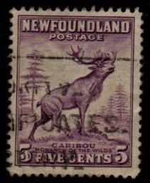 Newfoundland - #190 Caribou (Type 1) - Used