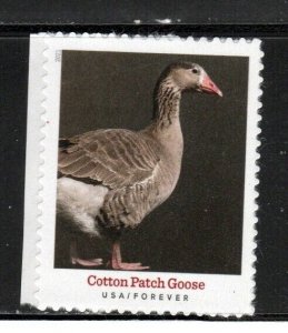 5588 * COTTON PATCH GOOSE *   U.S. Postage Stamp MNH