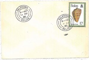 28719 - BELIZE - Postal History  REVENUE  STAMPS on COVER   SEINE BIGHT 1980