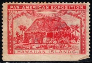 1901 US Poster Stamp Pan American Exposition Hawaiian Islands Unused