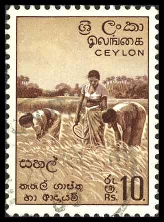 Ceylon Sc# 328 SG# 430 Used 1954 10r Harvesting Rice