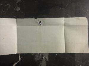 1874 Tabasco Mexico Letter sheet Cover Imperforate Stamp