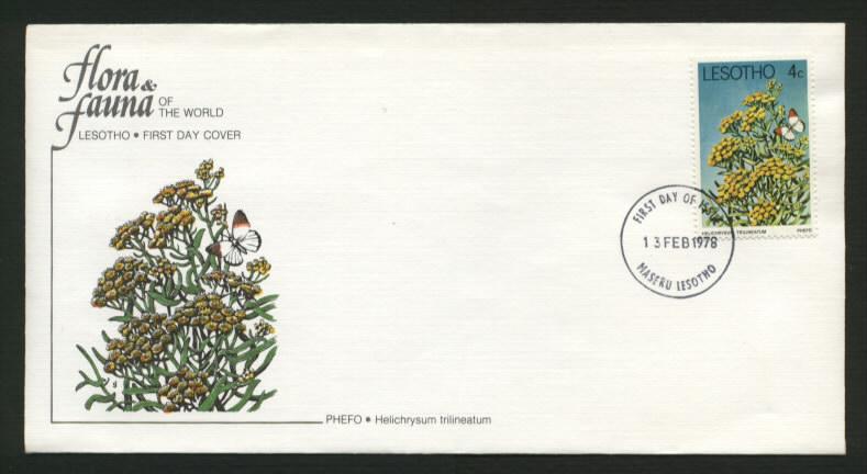 Lesotho # 248 Helichrysum Trilineatum Flower FDC