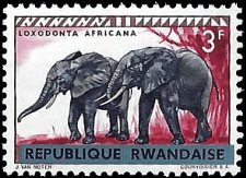 RWANDA   #62 MNH (1)