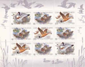 SA25f Russia USSR 1989 Ducks, mint sheet