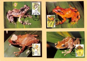 Fiji WWF World Wild Fund for Nature maxicards tree frog