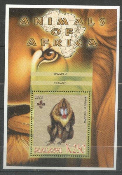 Malawi 2005 Wild Animals, Africa, Monkeys, perf. sheet, MNH   S.223