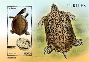 LIBERIA- 2023 - Tortoises & Turtles - Perf Souv Sheet - Mint Never Hinged