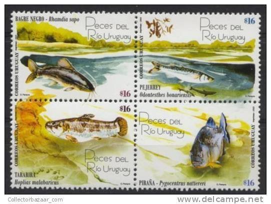 URUGUAY STAMP MNH marine life fish