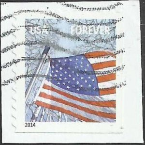 # 4785b USED FLAG IN WINTER