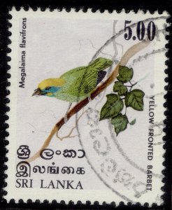 SRI LANKA QEII SG688, 5r yellow-fronted barbet, FINE USED.