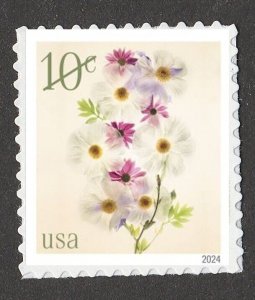 US Flowers Poppies & Coneflowers 10c single MNH 2024 after 7/31