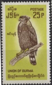 Burma 204 (mh, big thin) 25p crested serpent eagle, yel & brn (1964)