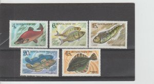 Russia  Scott#  5164-5168  MNH  (1983 Food Fish)