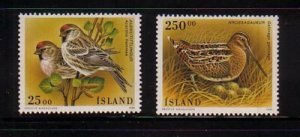 Iceland Sc 808-809 1995 bird stamp set mint NH