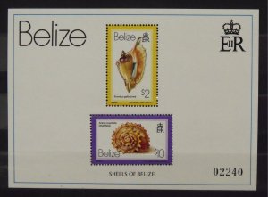8773   Belize   MNH # 489   Sea Shells Souvenir Sheet     CV$ 45.00