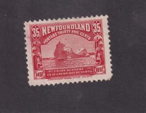 NEWFOUNDLAND # 73 VF-MLH 35cts ICEBERGS CAT VALUE $160 (ITS FREEZING)